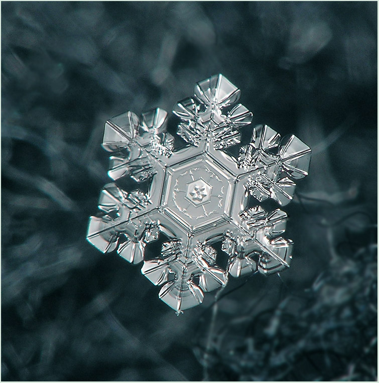http://supermacro.narod.ru/photos/SnowFlakes/images/SnowFlake_7.jpg
